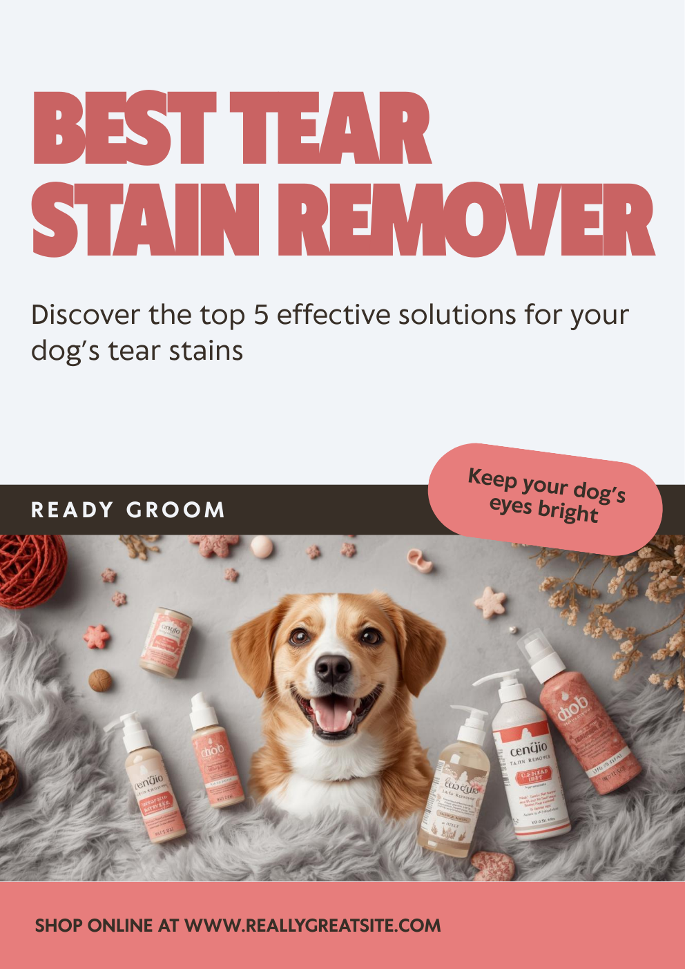 Best Tear Stain Remover for Dogs: Top 5