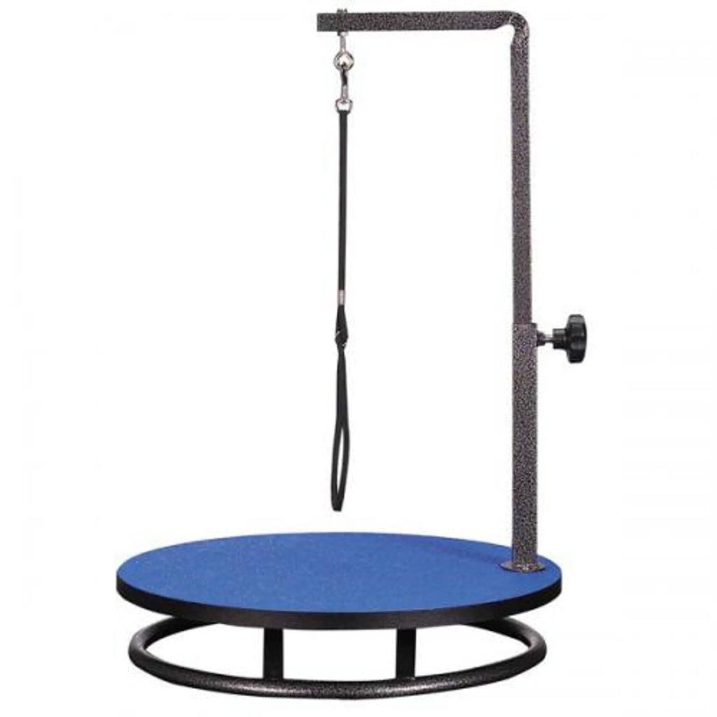 Pet exercise platform with blue surface and black metal frame on a white background