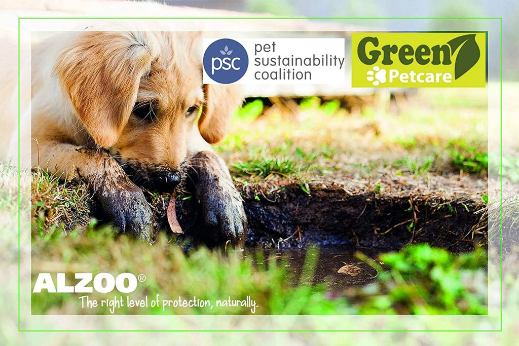 Dog playing in a puddle with logos for PSC, Green Petcare, and ALZOO at the bottom.