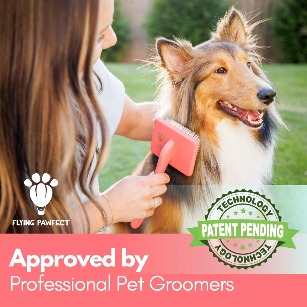 Woman grooming a dog with a pink brush, branded as Flying Pawfect, with a 'Patent Pending' logo.