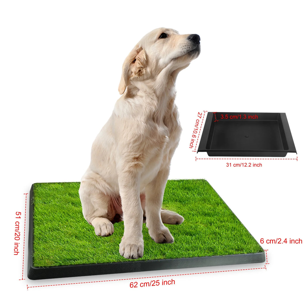 Dog sitting on a grass-like pad with measurements indicated