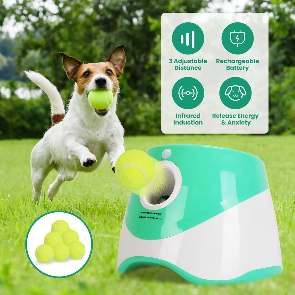 Dog playing with a tennis ball next to a green and white device on grass