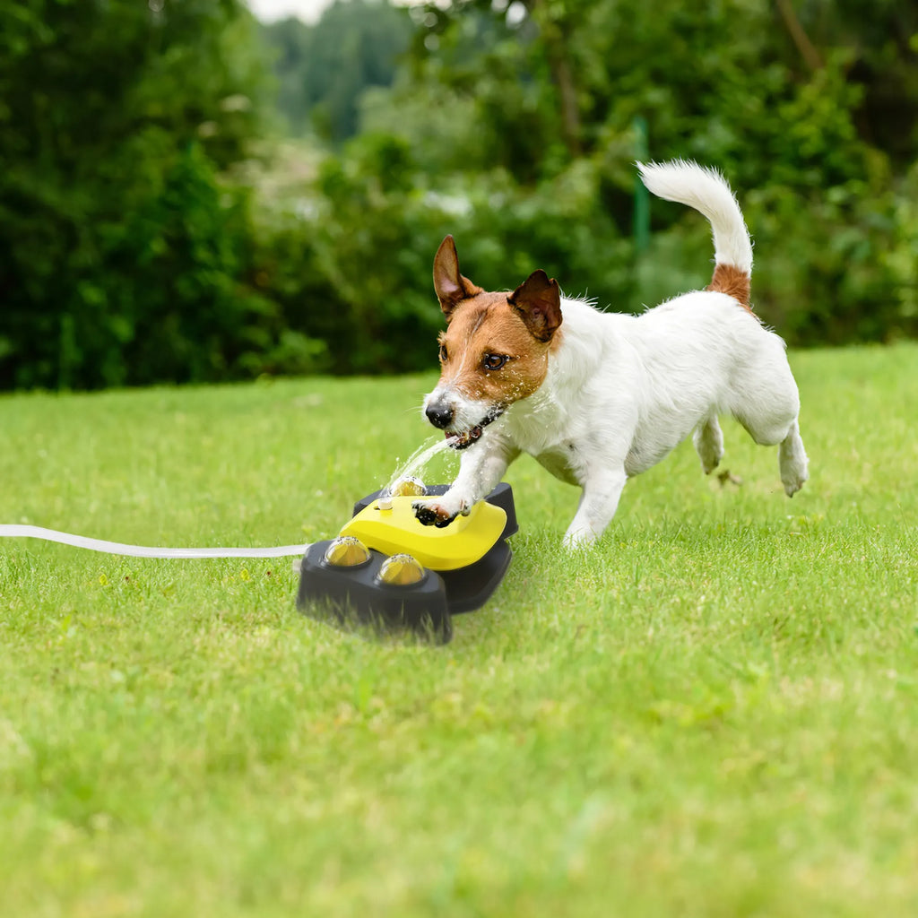 Dog playing with a yellow and black toy on a grassy field