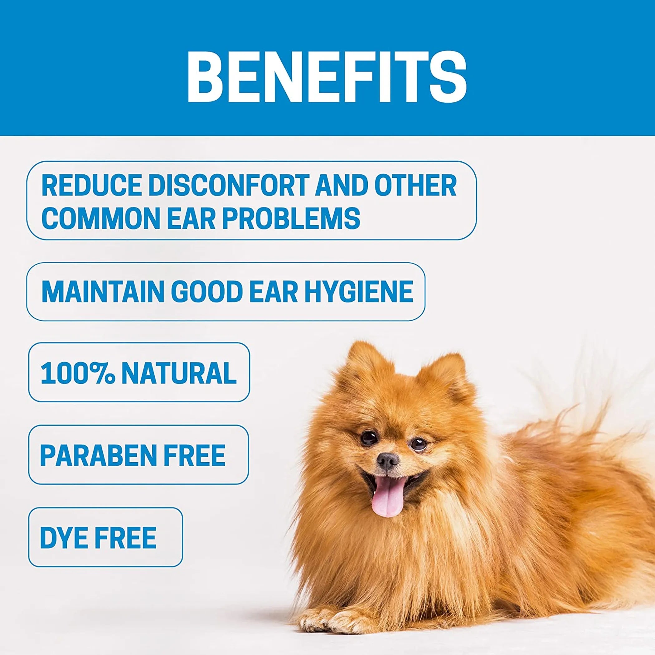 Dog with benefits listed on a blue background