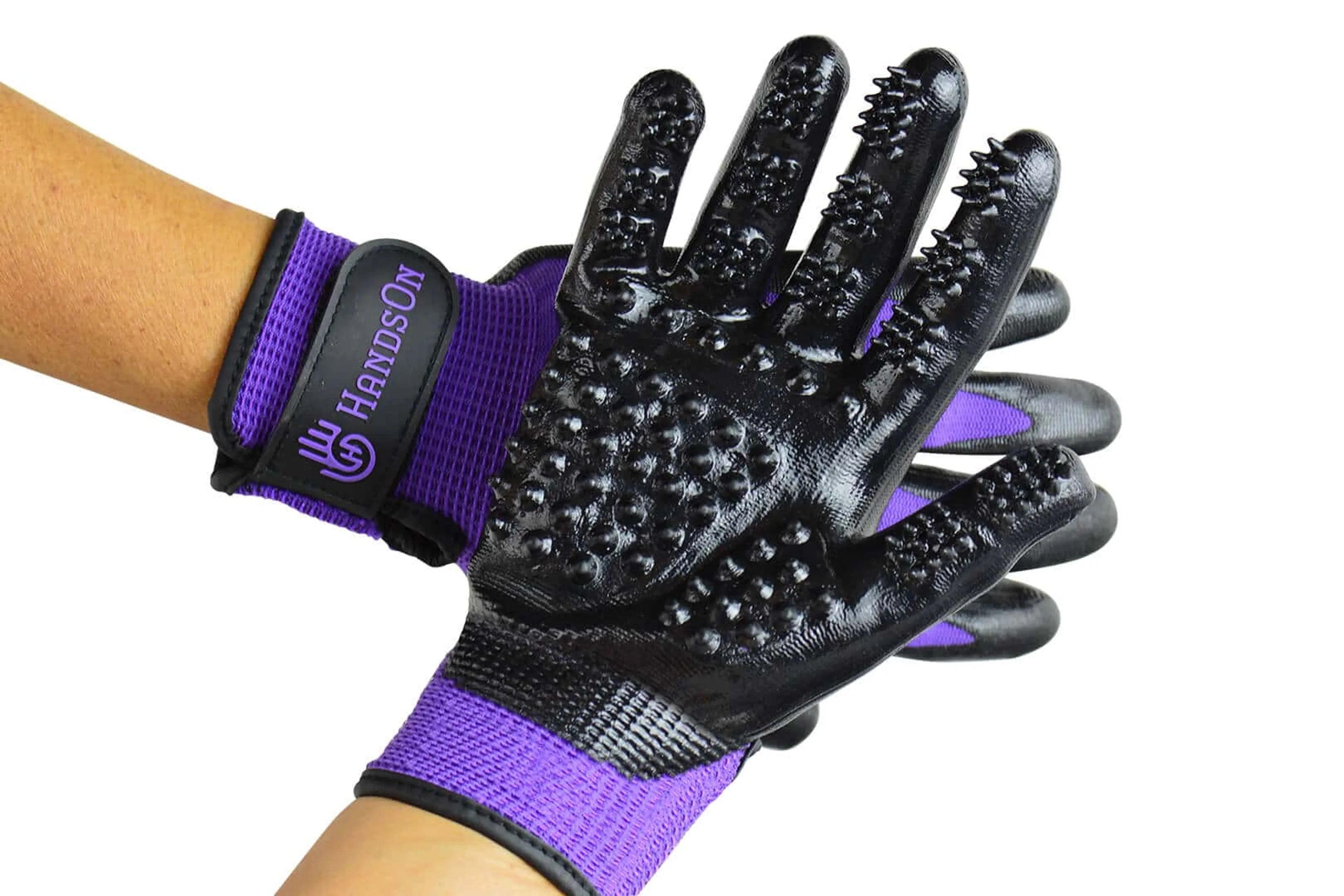 Black grooming glove with purple wrist strap on a white background