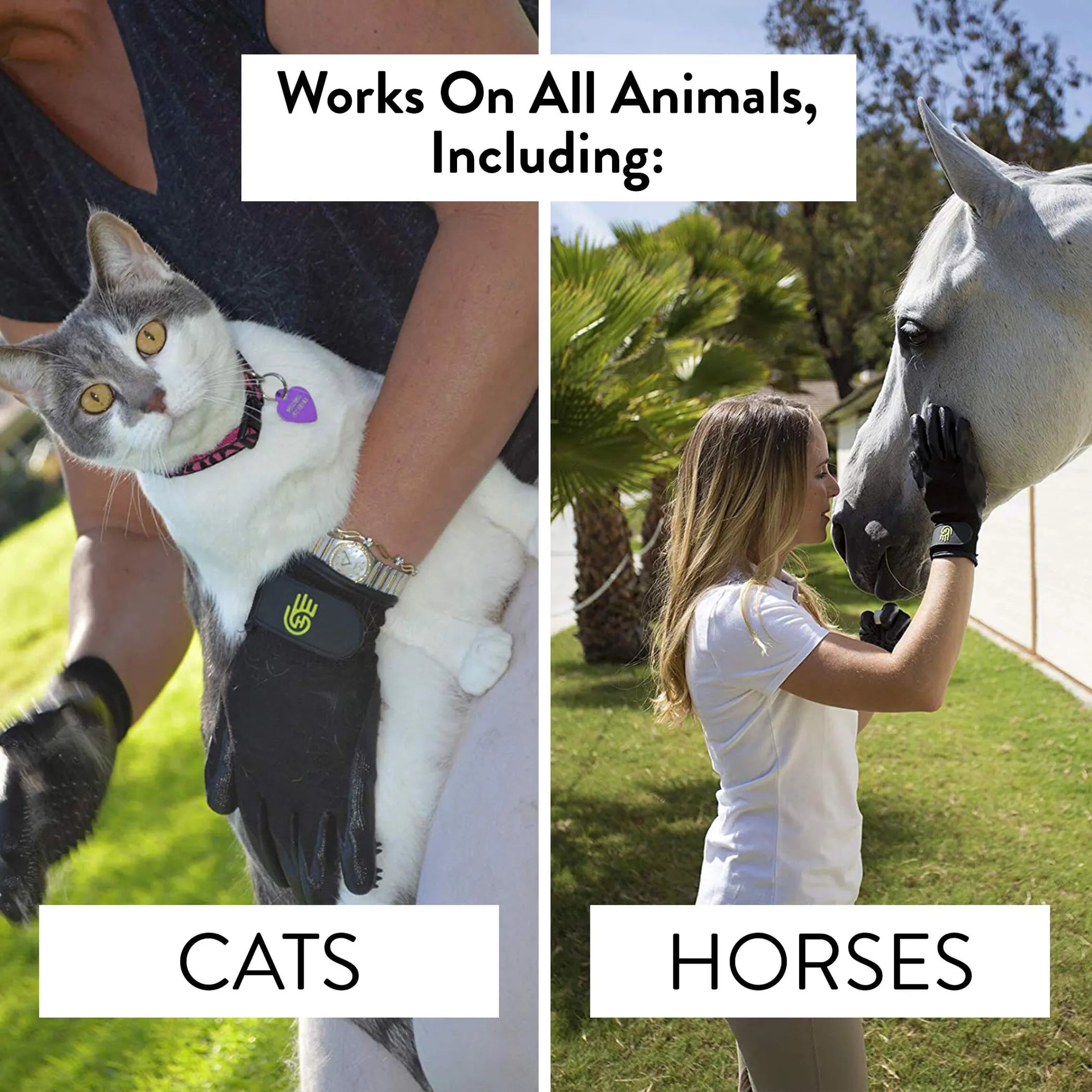 Glove with heating pad being used on a cat and horse, with text indicating it works on all animals including cats and horses.